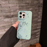 Luxury Snake skin Graphic 3D Shockproof Matte Hard Case For iPhone